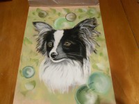 /album/galerie-photos/photo-1496-jpg/